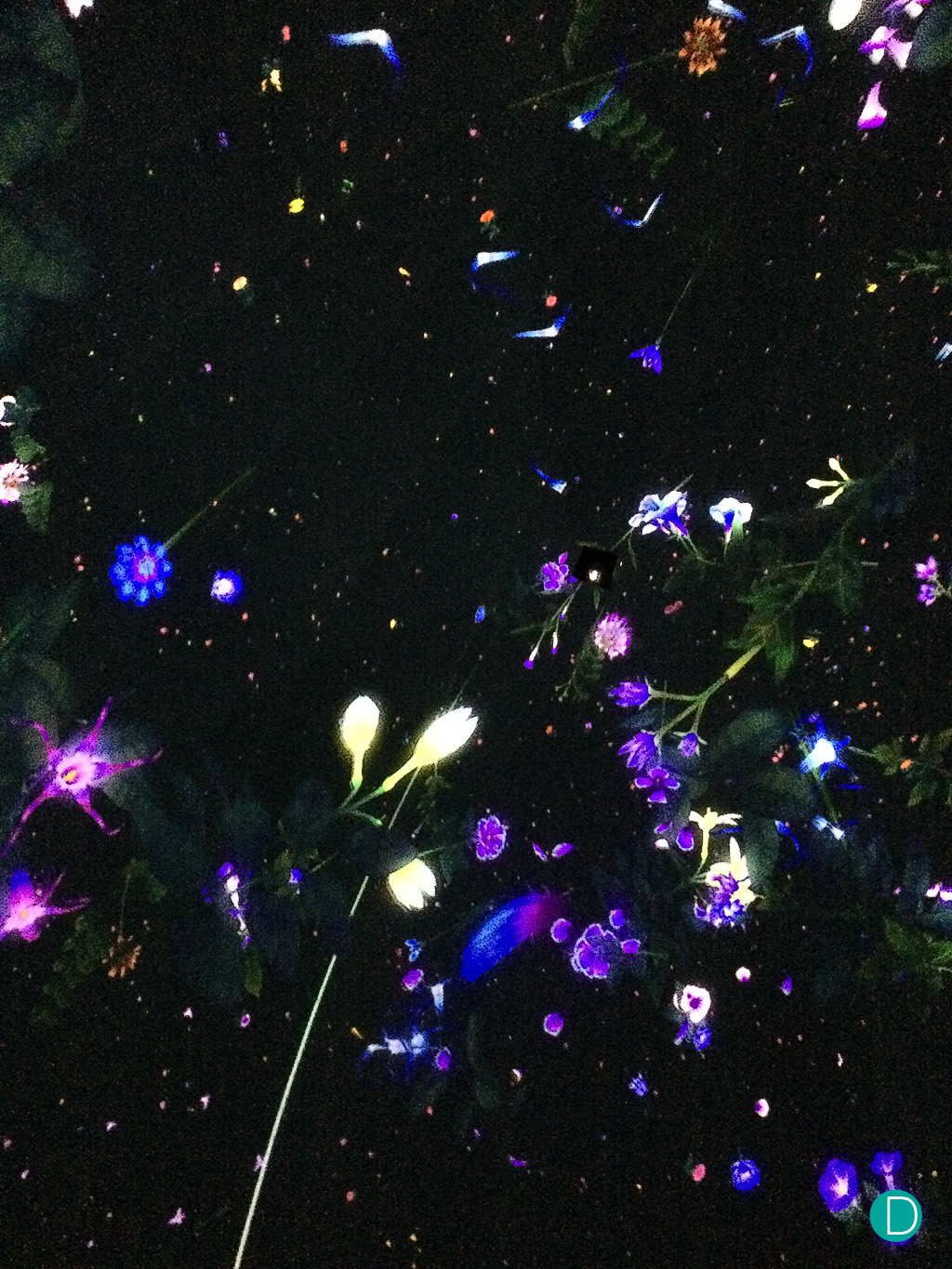 The cascading constellation of flora from the top of the Glass Rotunda. The effect is quite mesmerising.
