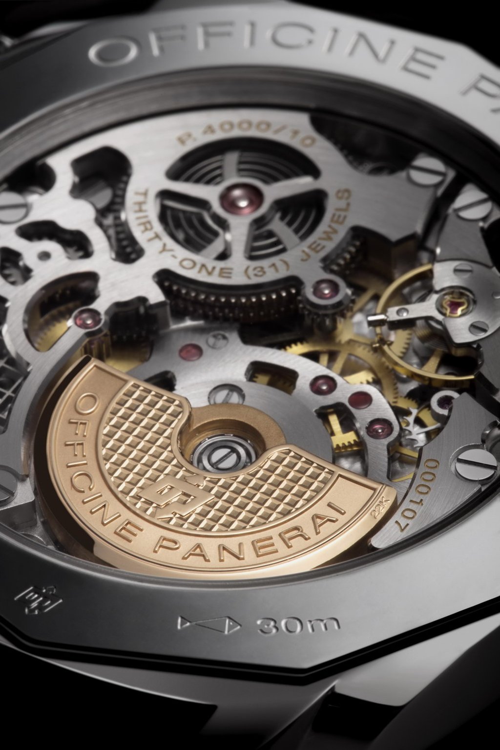 PAM739 decorated micro-rotor