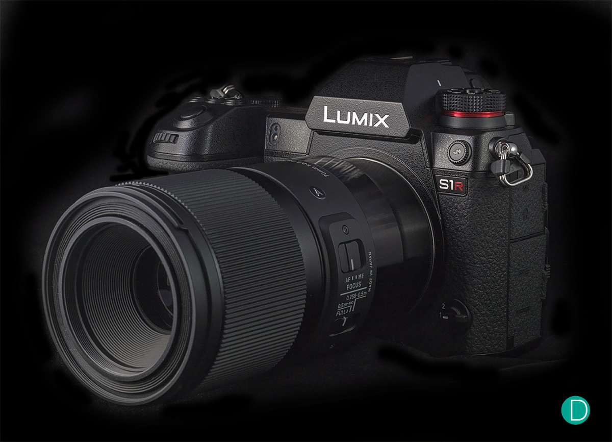 hersenen papier Draad Panasonic LUMIX S1R - a hands-on review of the full frame 47Mp "giant  killer" camera -