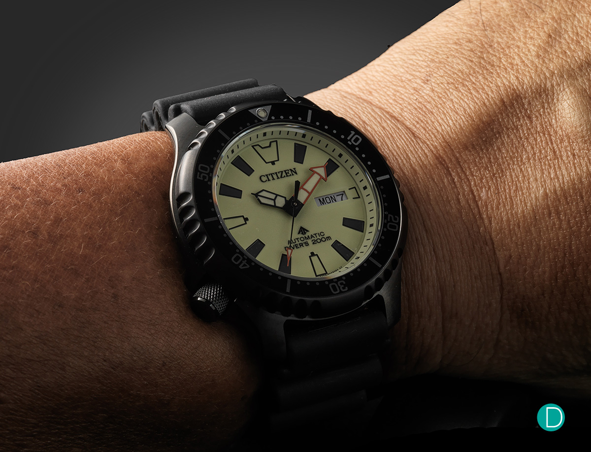 Review: Citizen Fugu  - NY013 Series. New for 2021 -